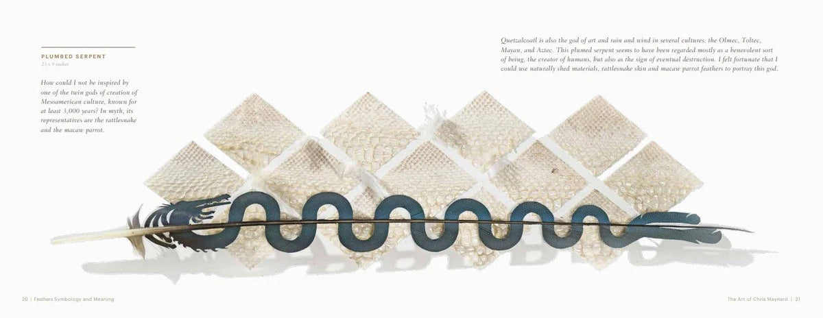 Feathers: Symbology and Meaning by Chris Maynard