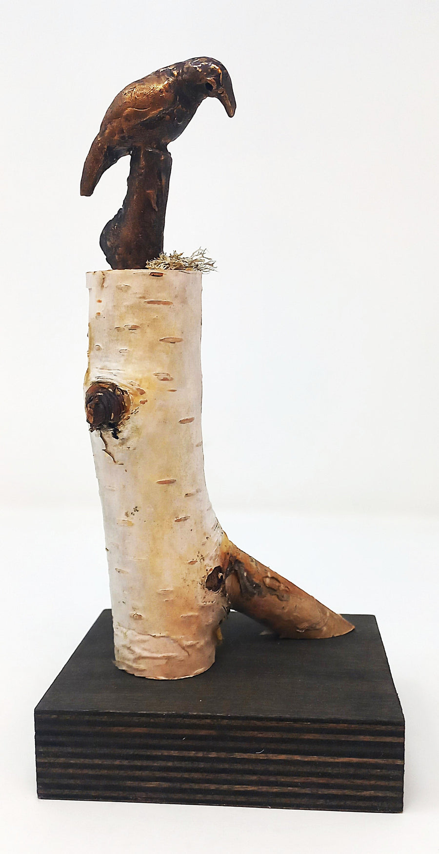 Crow Looking by Pamela Wachtler