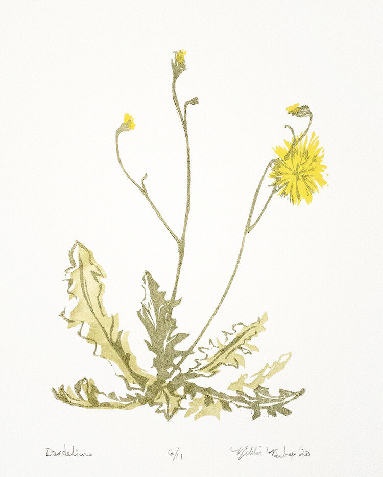 "Dandelion" Print by Nikki Jabbora-Barber