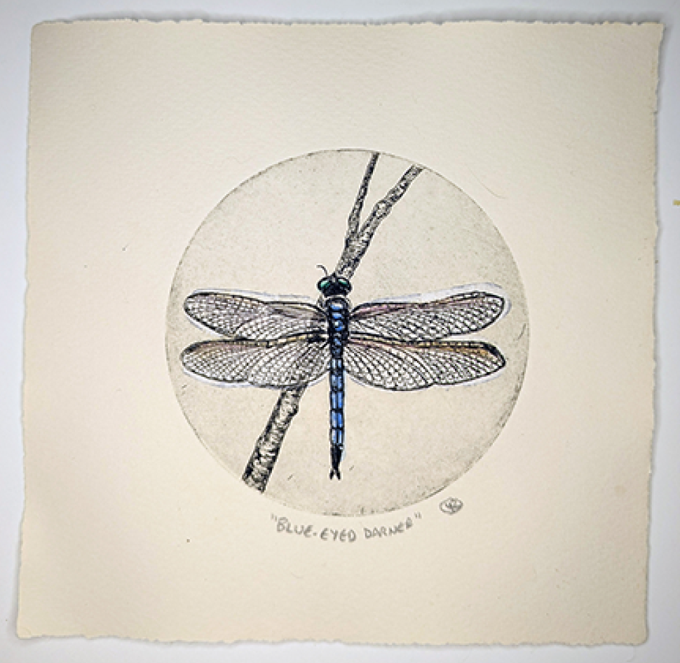 Dragonfly Etching by Lynn Rosskamp