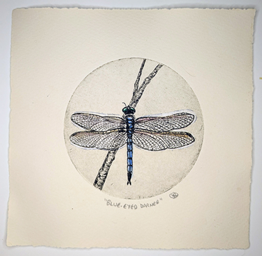 Dragonfly Etching by Lynn Rosskamp