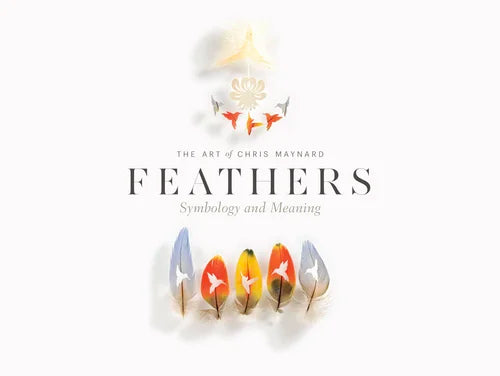 Feathers: Symbology and Meaning by Chris Maynard