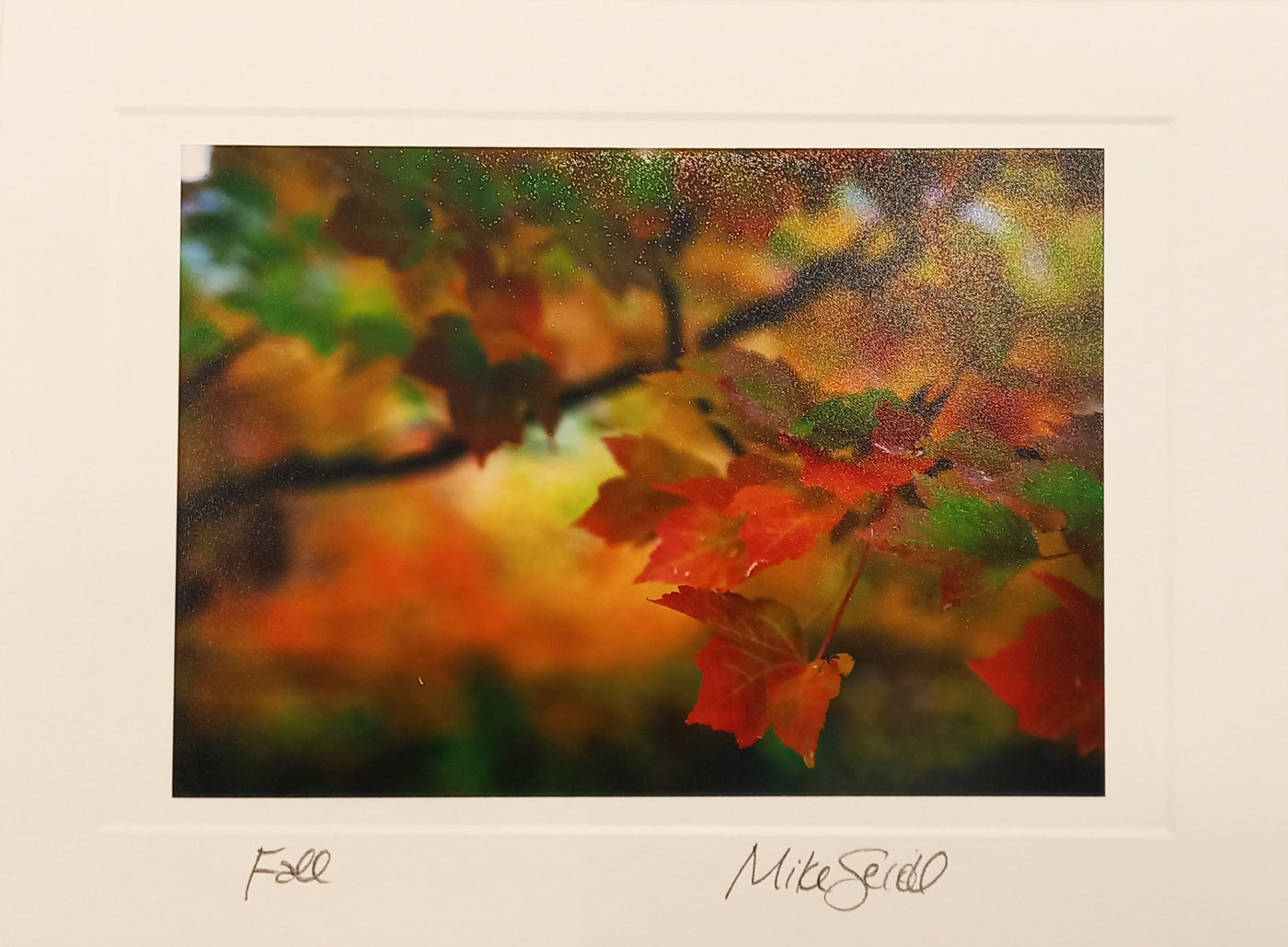 Art Cards by Mike Seidl
