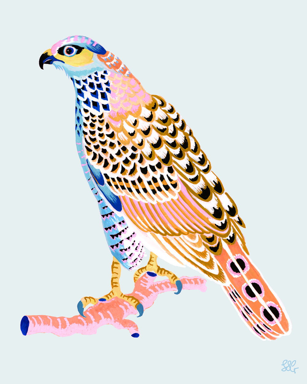 Fancy Hawk Print by Sarah Gordo