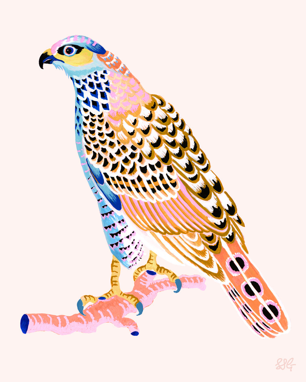 Fancy Hawk Print by Sarah Gordo