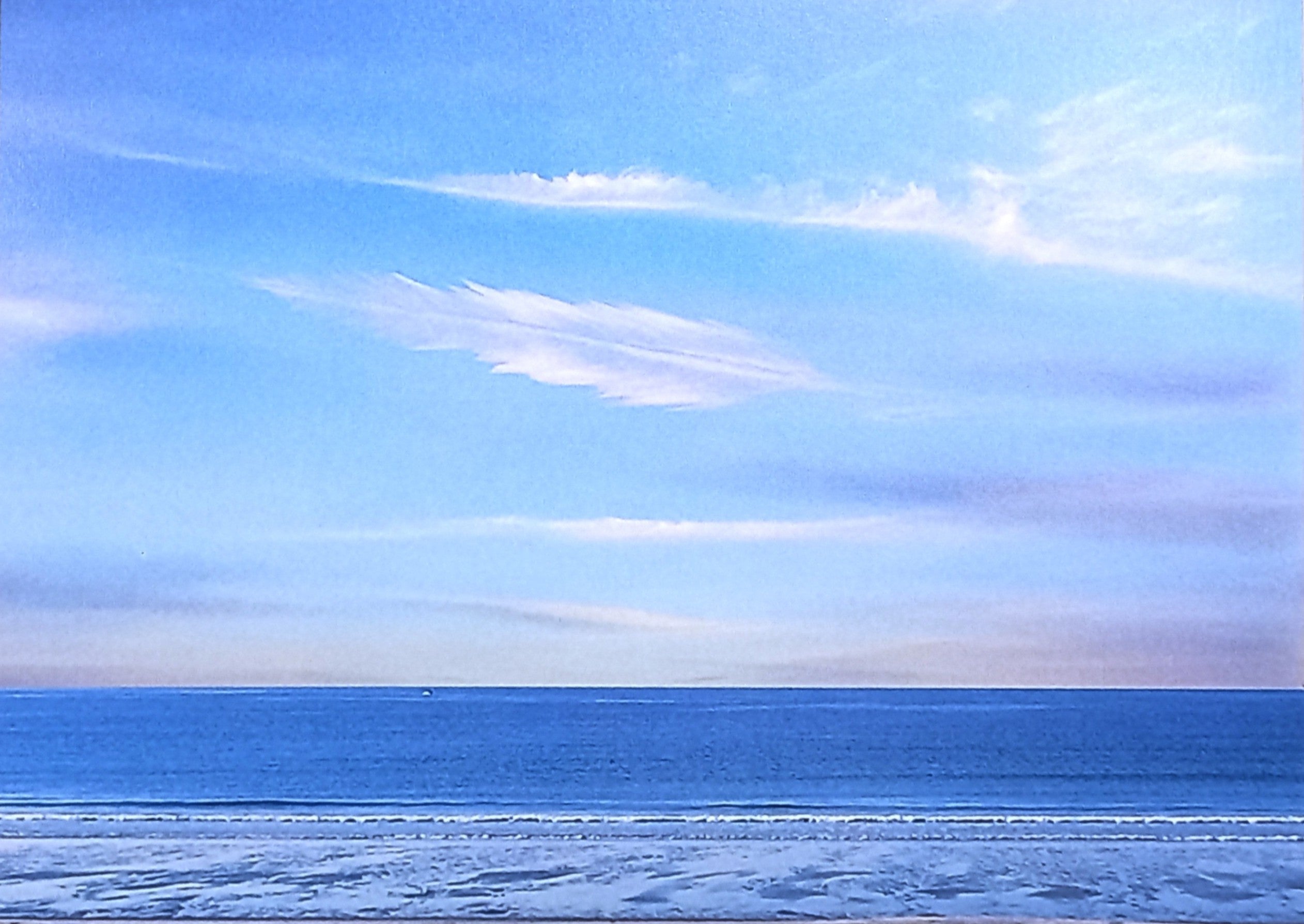 Feather in the Sky 5x7 Print by Rosette Gault