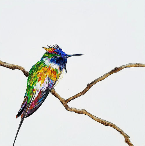Framed Mini Prints by Carrie Goller