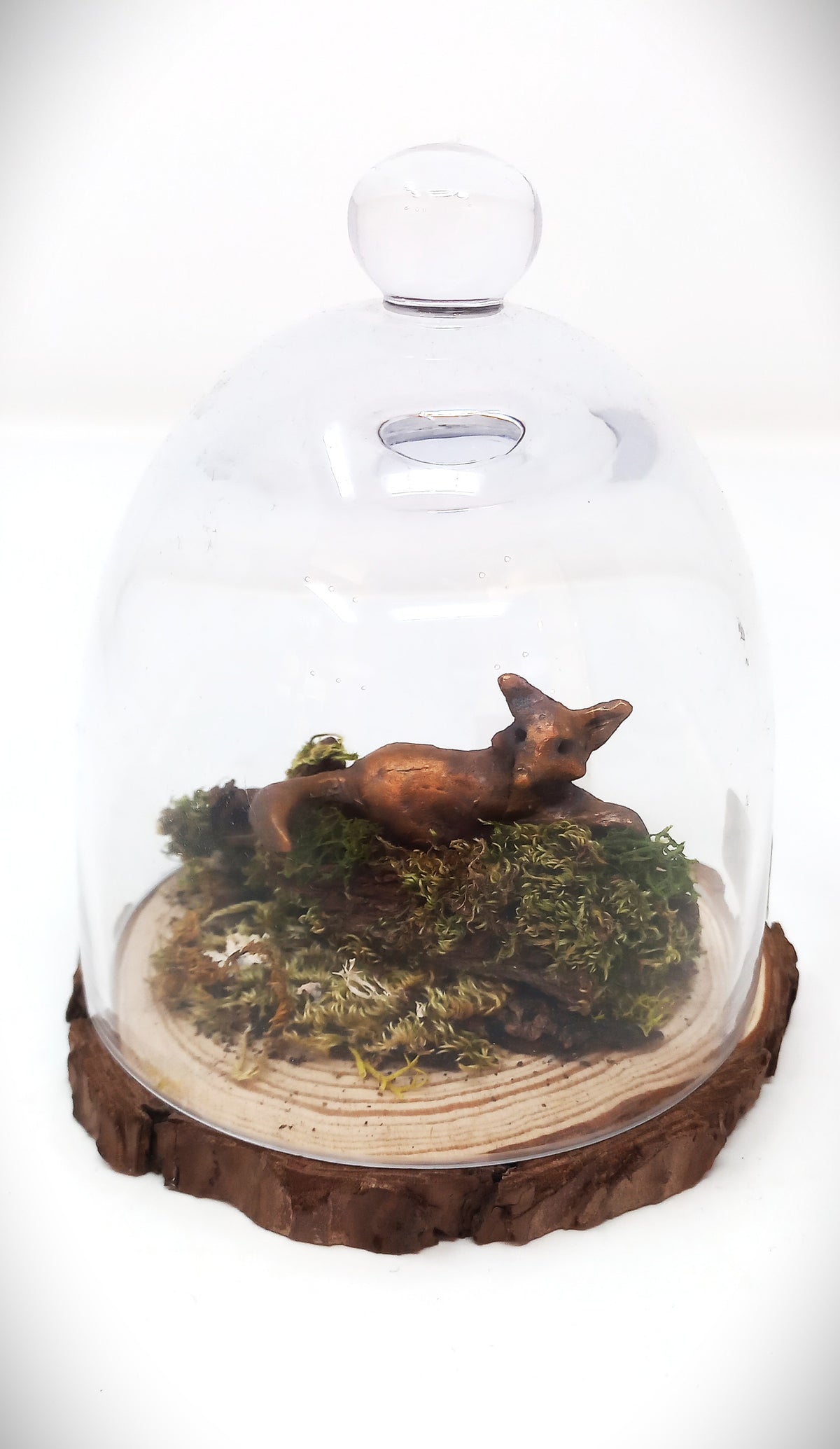 Fox Resting by Pamela Wachtler