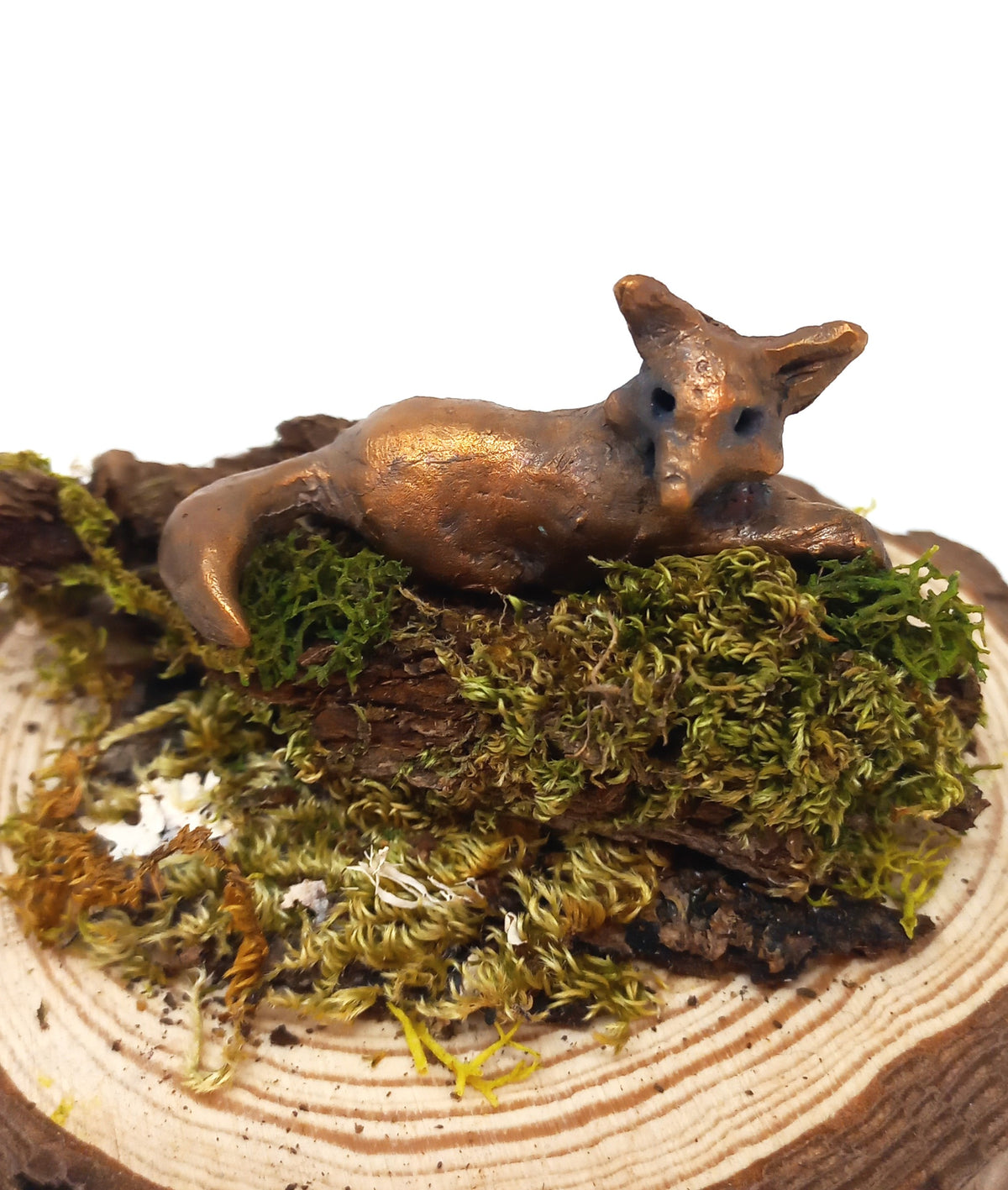 Fox Resting by Pamela Wachtler