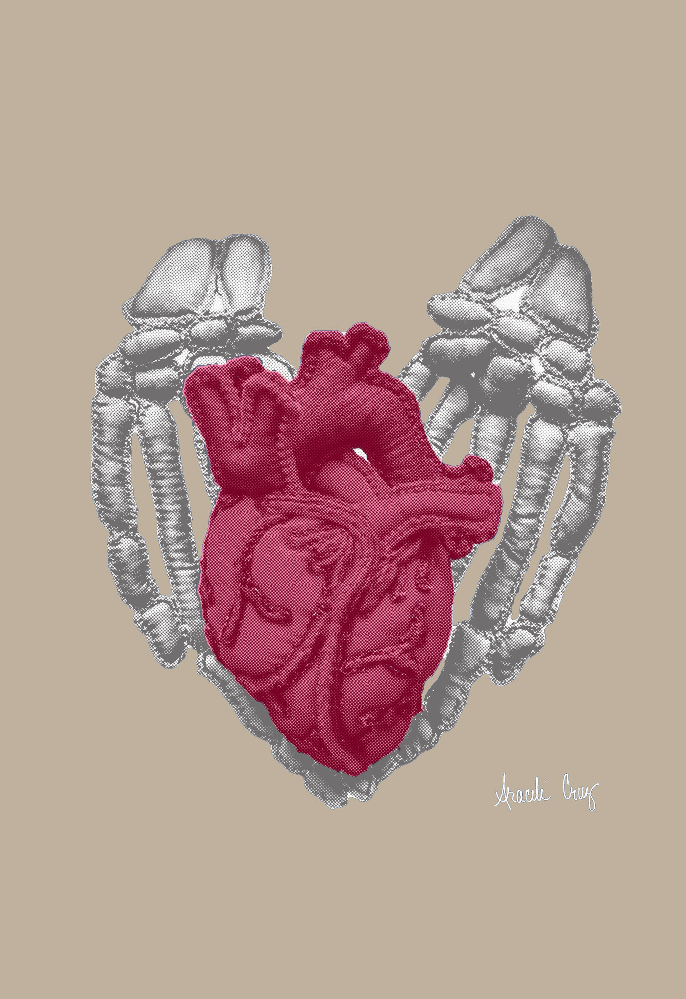 Heart In Hands T-Shirt by Araceli Cruz