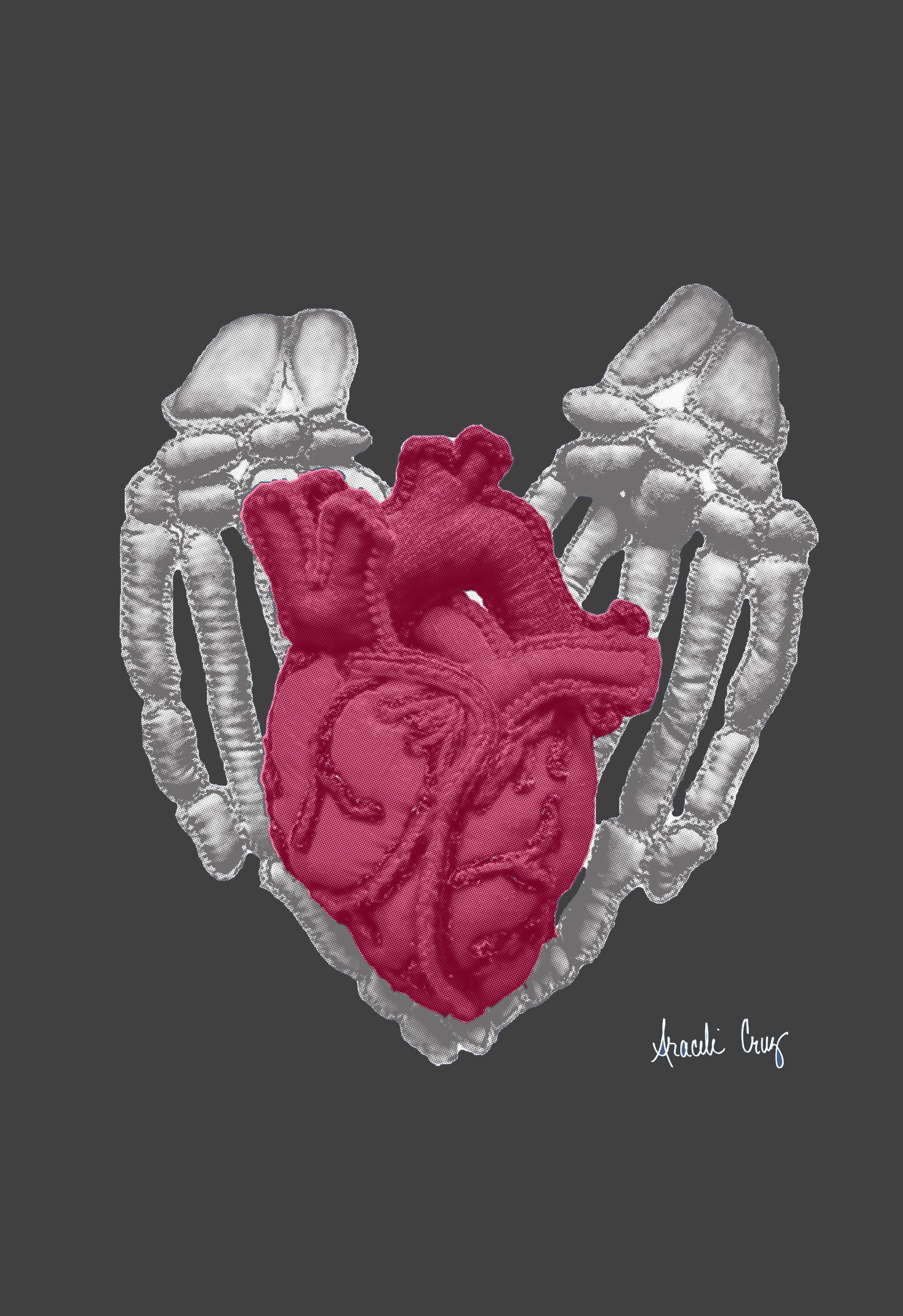 Heart In Hands T-Shirt by Araceli Cruz