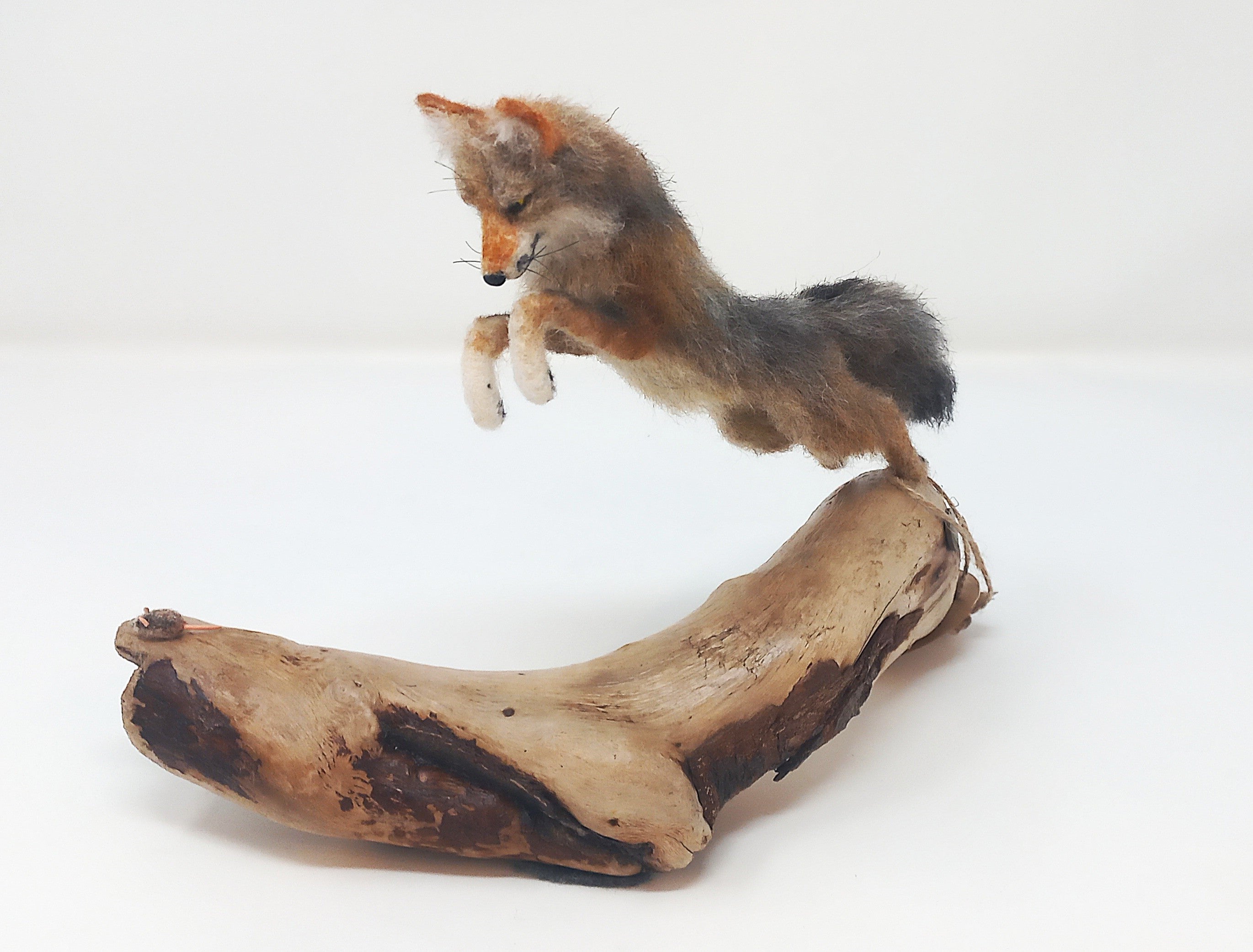 Hemlock Fox by Jordan Taylor: In-Store Pickup Only