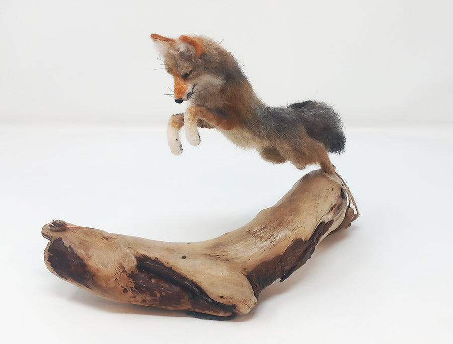 Hemlock Fox by Jordan Taylor: In-Store Pickup Only