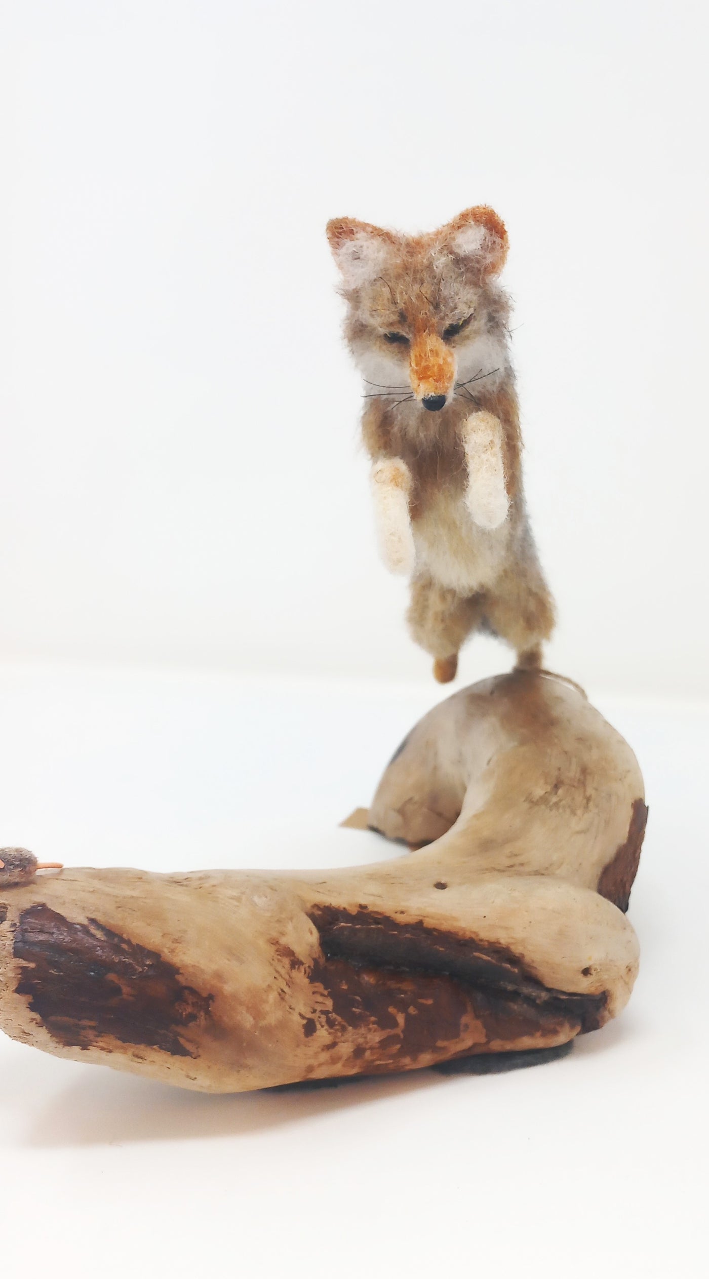 Hemlock Fox by Jordan Taylor: In-Store Pickup Only