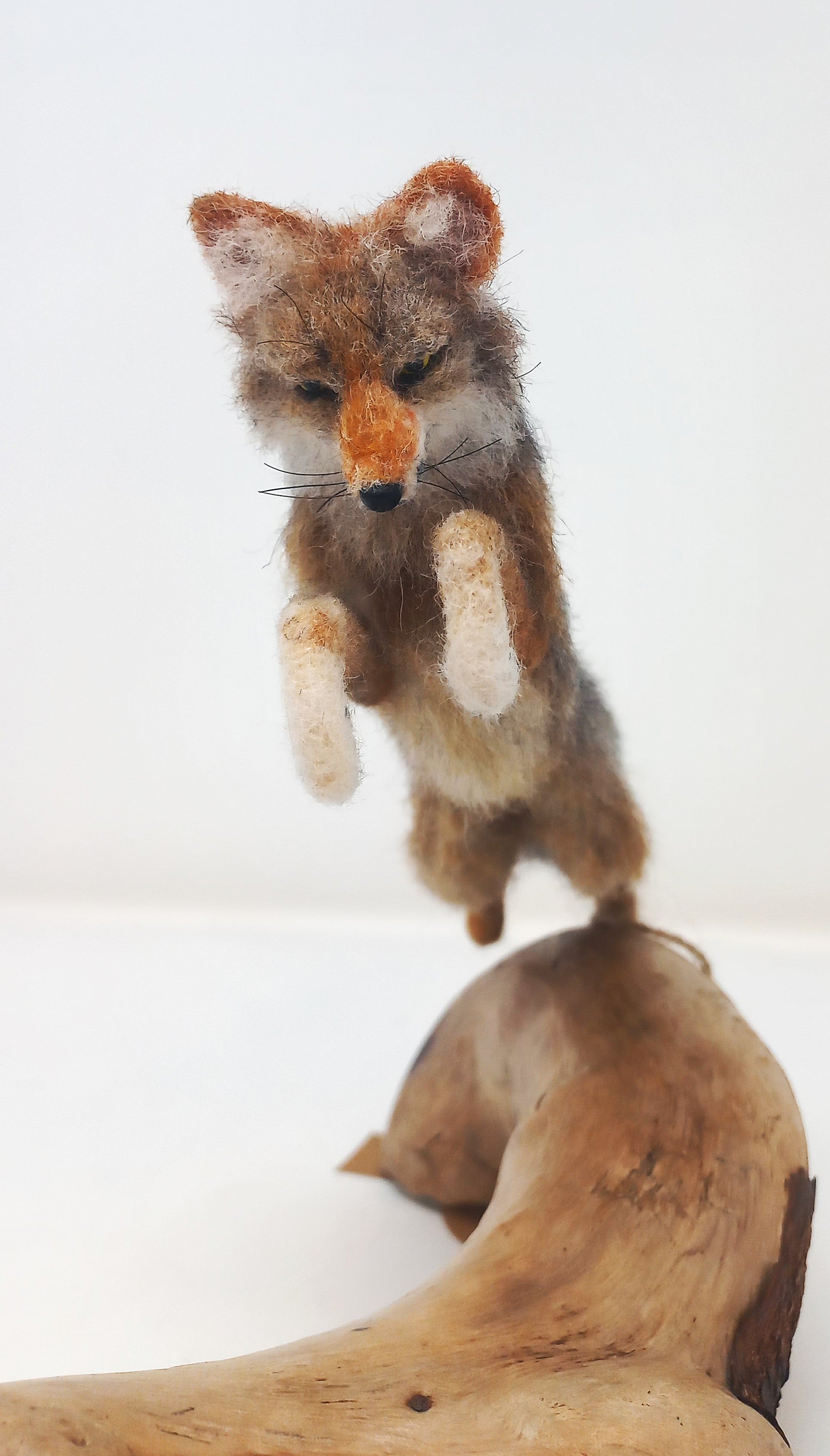 Hemlock Fox by Jordan Taylor: In-Store Pickup Only