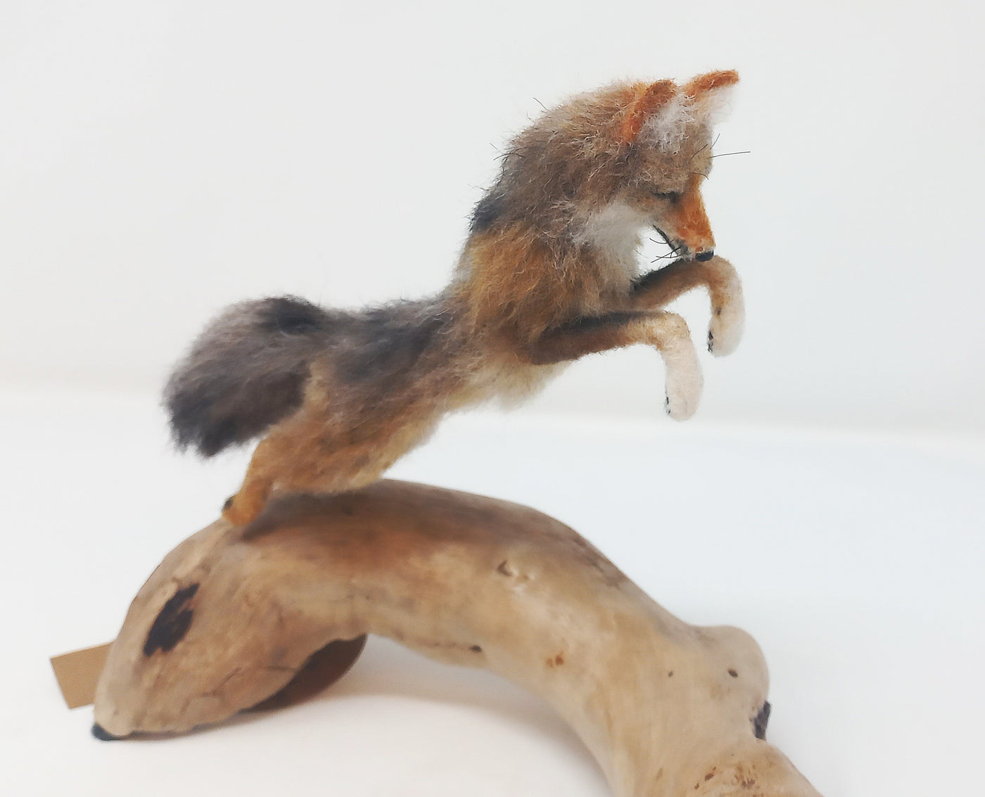 Hemlock Fox by Jordan Taylor: In-Store Pickup Only