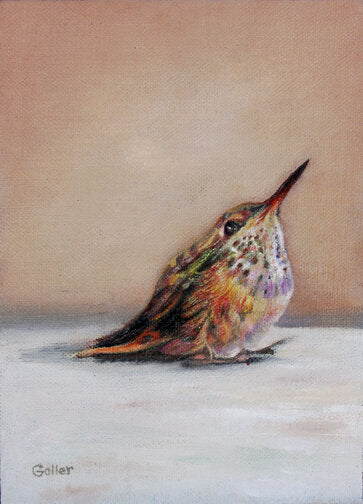 Framed Mini Prints by Carrie Goller