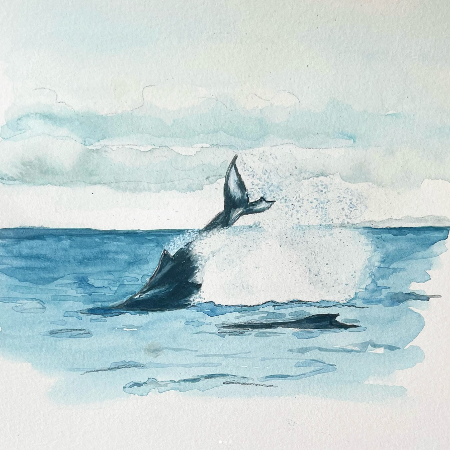 Humpbacks Print by Mary Jo Davis