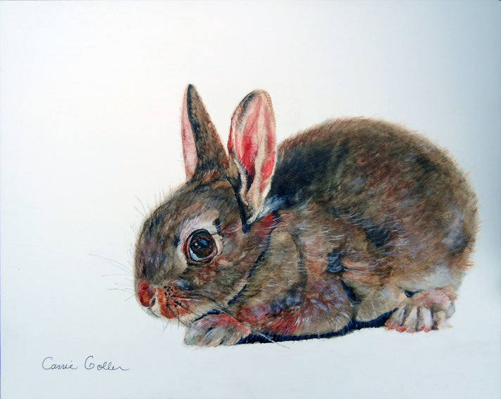 Hyacinth 8x10 Print by Carrie Goller