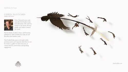 Feathers: Symbology and Meaning by Chris Maynard