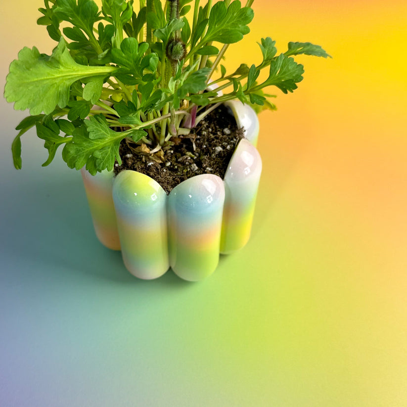 Scallop Planter - Modern Science Project