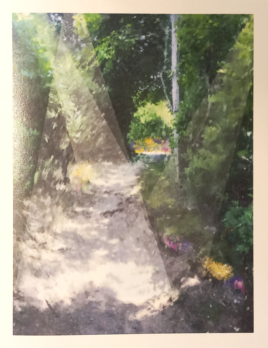 Light on the Path 5x7 Print by Rosette Gault