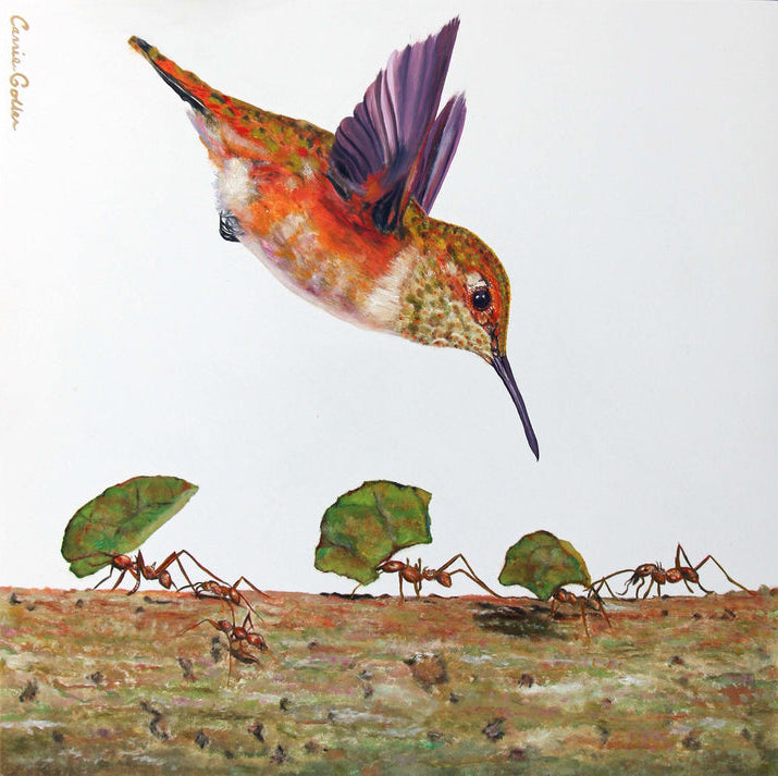 Framed Mini Prints by Carrie Goller
