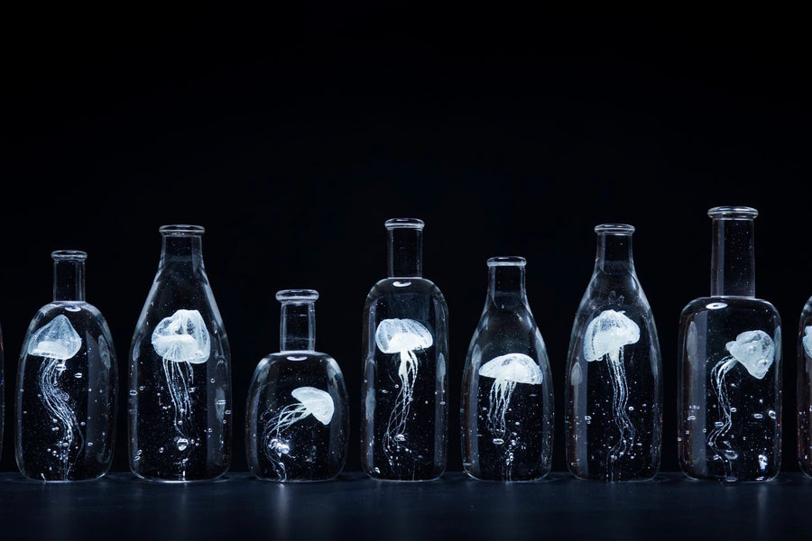 Jellyfish Bottles by Mikey Cozza