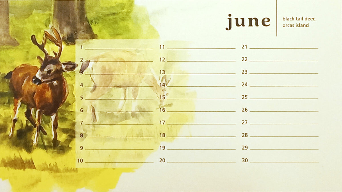 Salish Scenes Perpetual Calendar