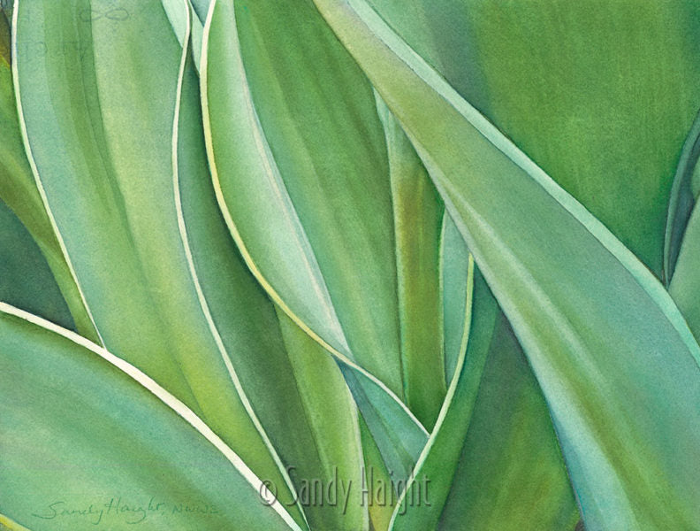 "Unfolding" Original Watercolor by Sandy Haight