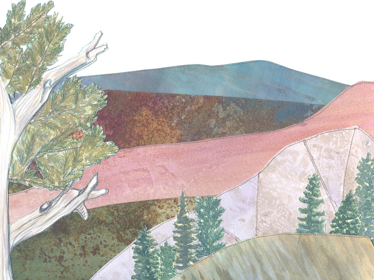 Mending Measures 25.13 by Sara Everett