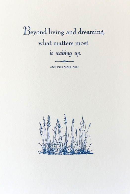 Machado Framed Print