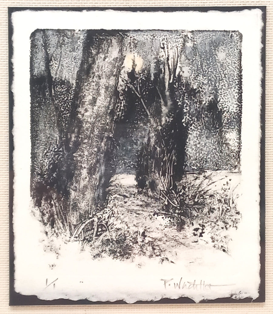 Moon on the Rise by Pamela Wachtler