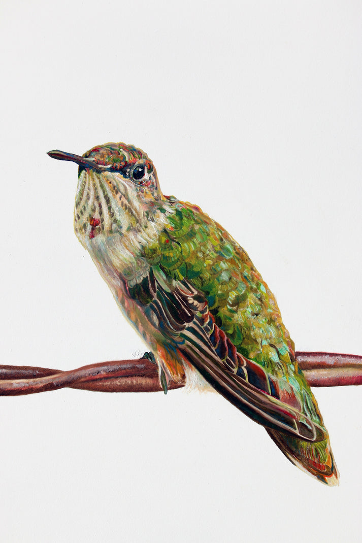 Framed Mini Prints by Carrie Goller