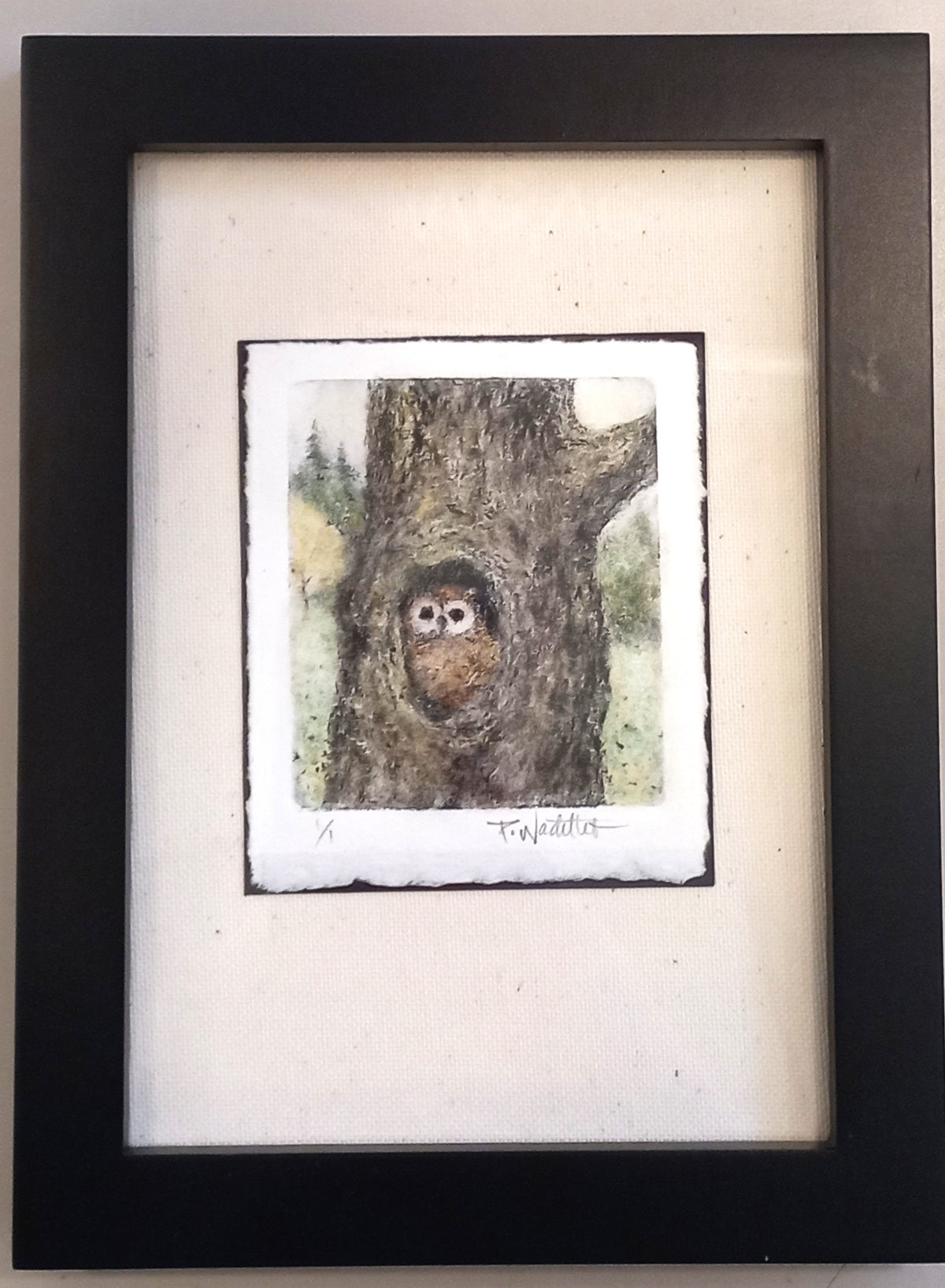 Northern Spotted Owl by Pamela Wachtler