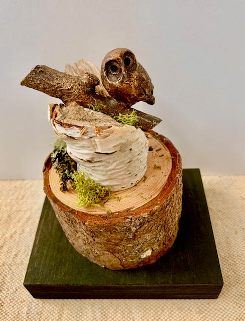 Owl Thinking by Pamela Wachtler