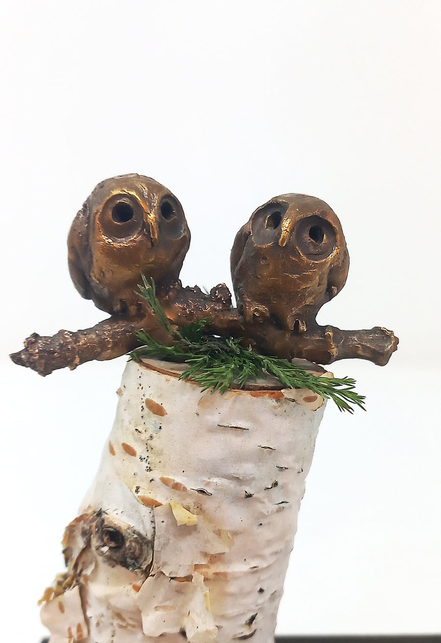 Owls Thinking by Pamela Wachtler