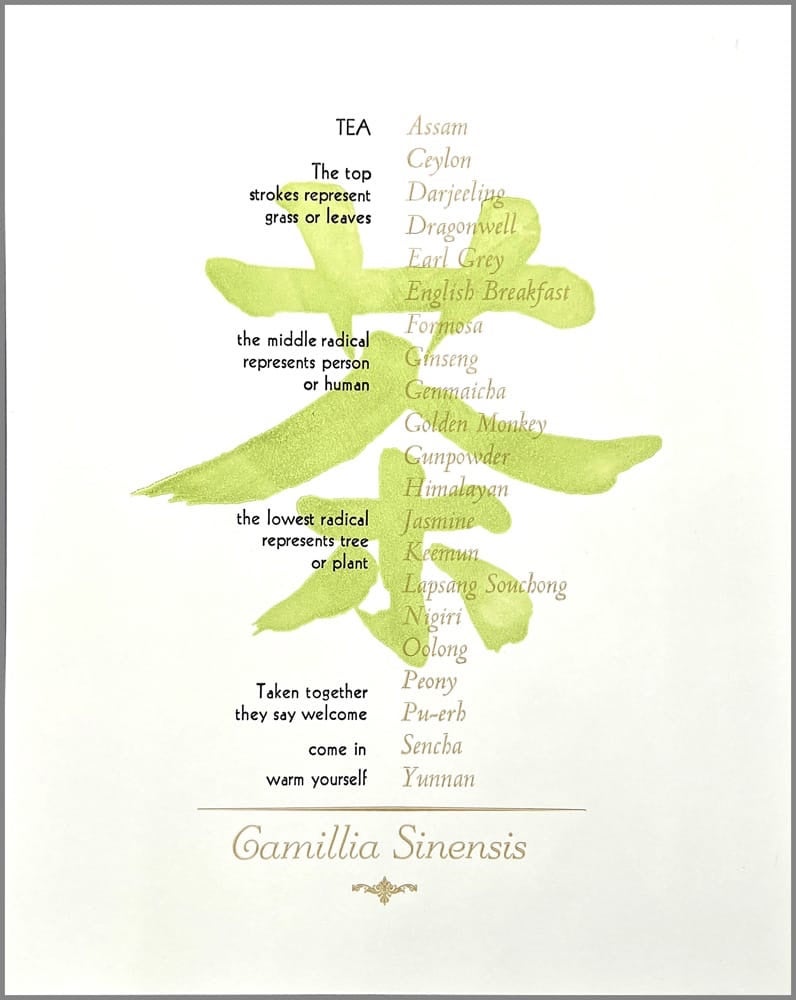 Camillia Sinensis Print by Ellie Matthews
