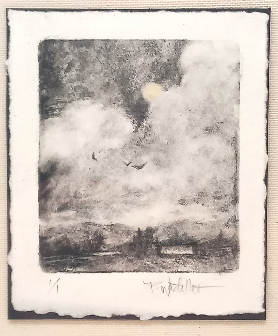 Partly Sunny by Pamela Wachtler