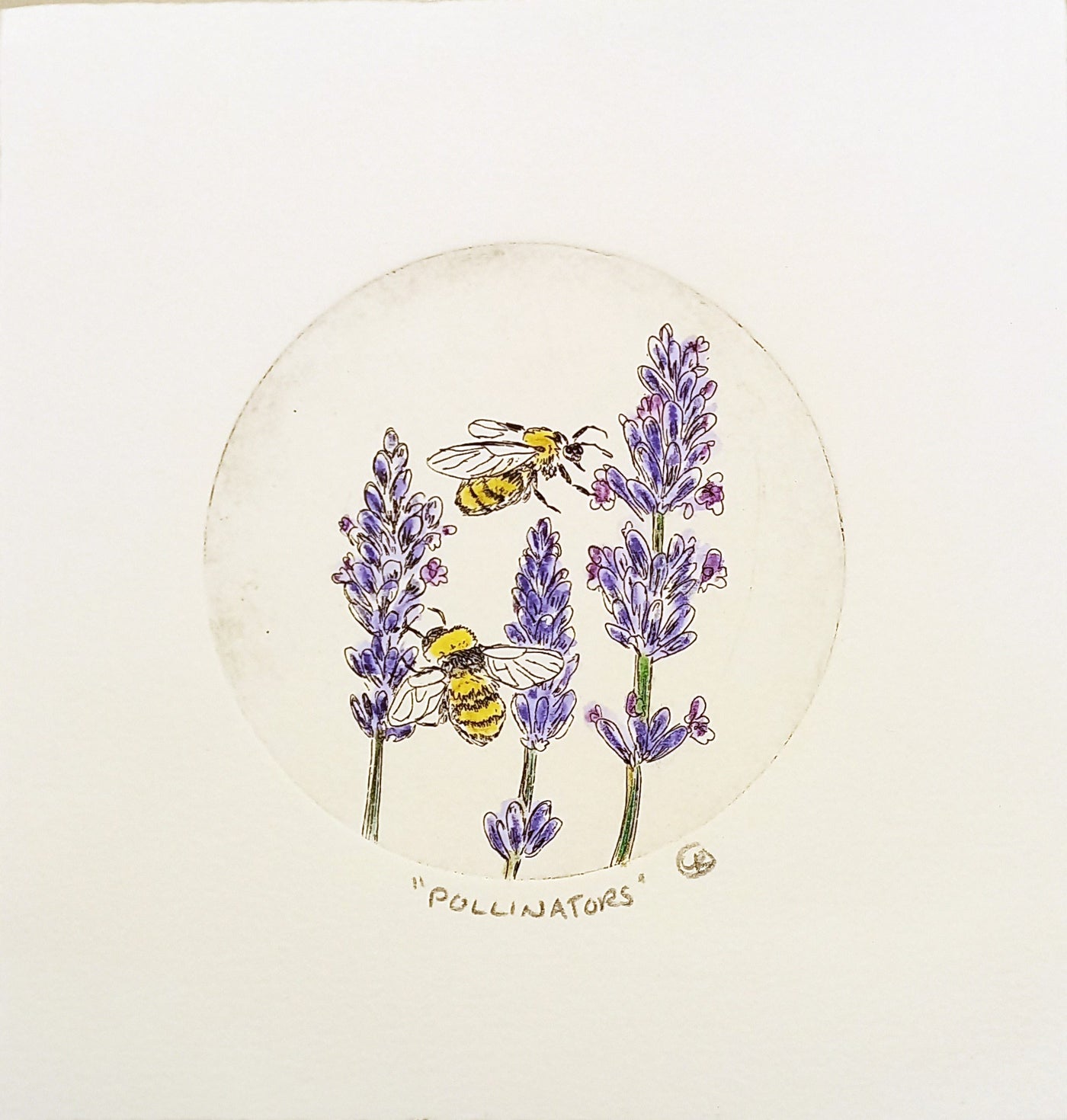 Pollinators Etching by Lynn Rosskamp