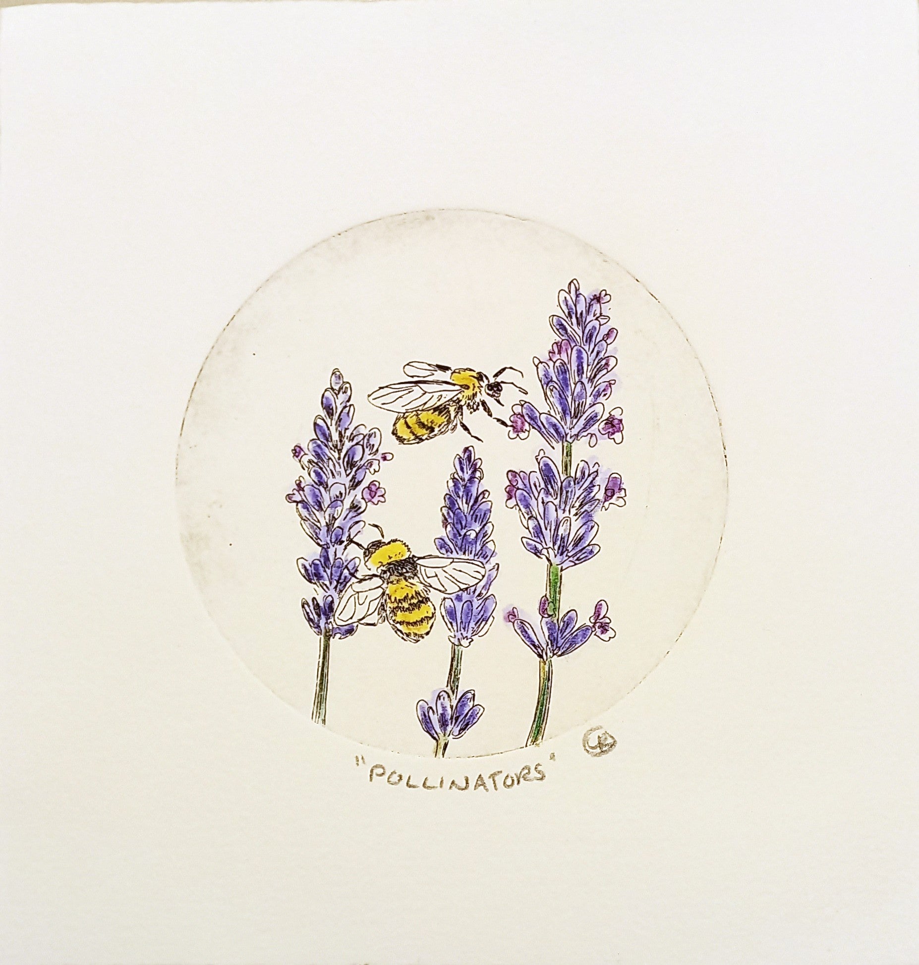 Pollinators Etching by Lynn Rosskamp