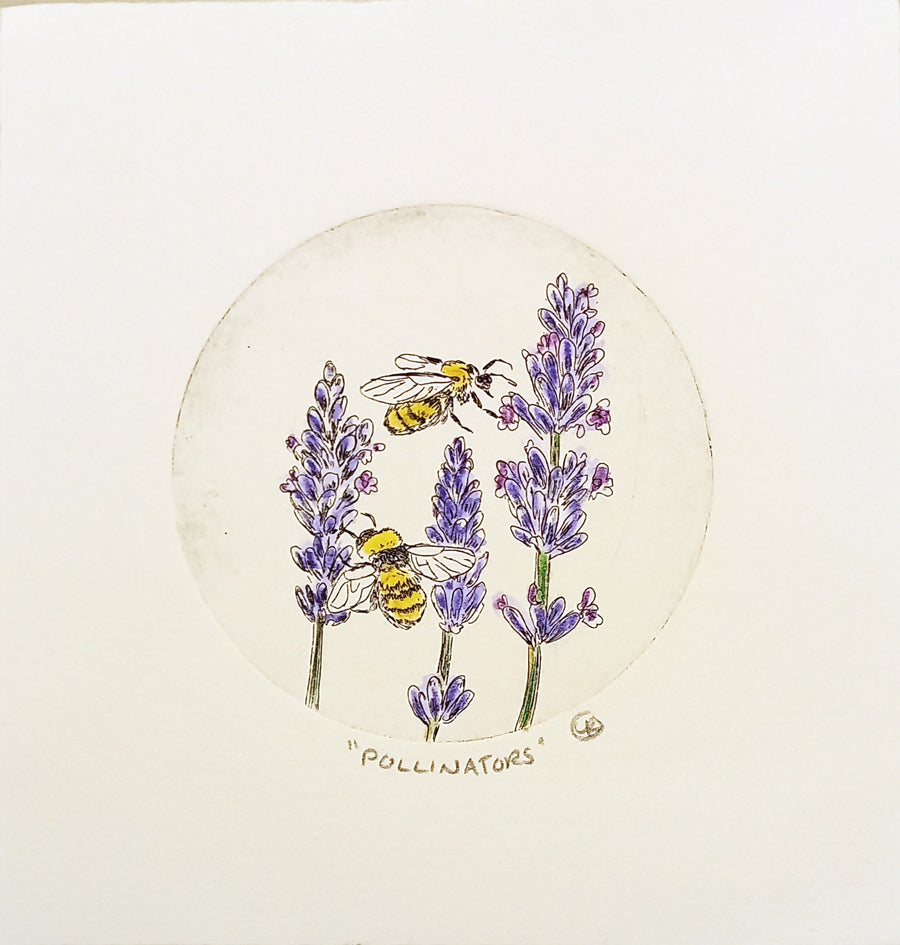 Pollinators Etching by Lynn Rosskamp