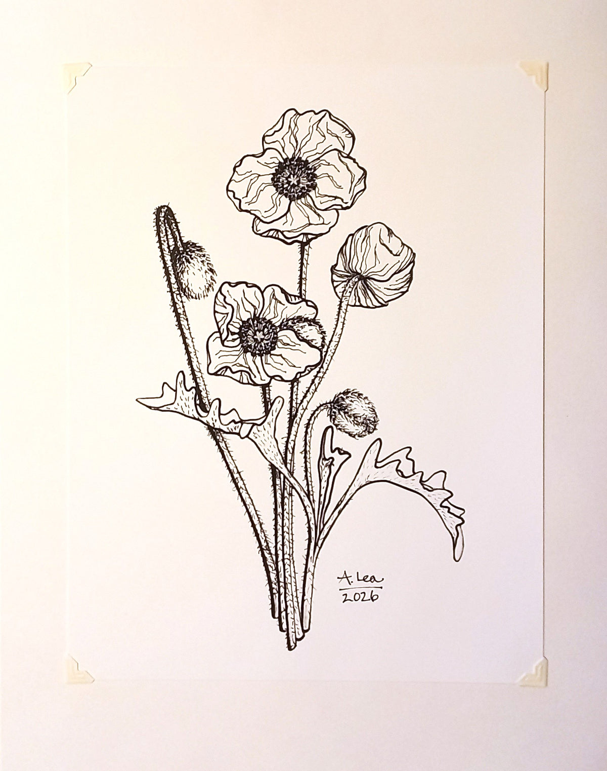 Poppy Family B&W Print
