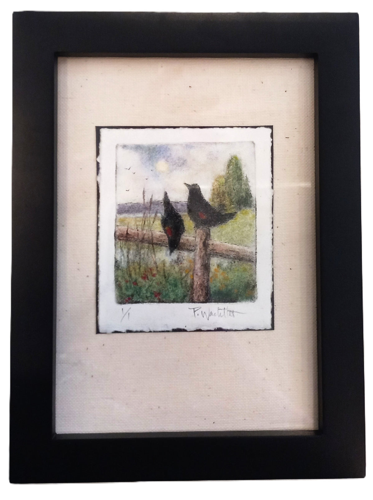 Redwings by Pamela Wachtler