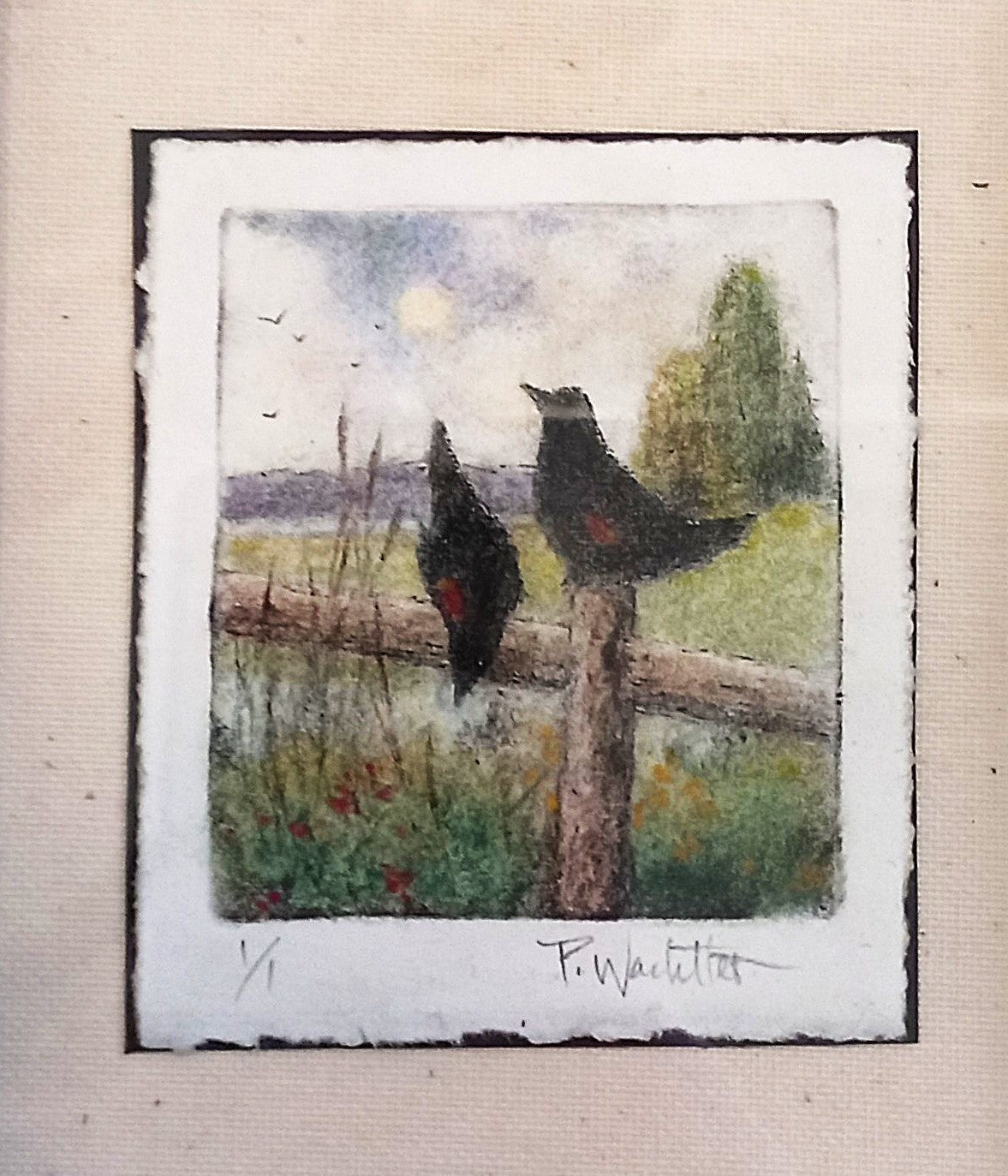 Redwings by Pamela Wachtler