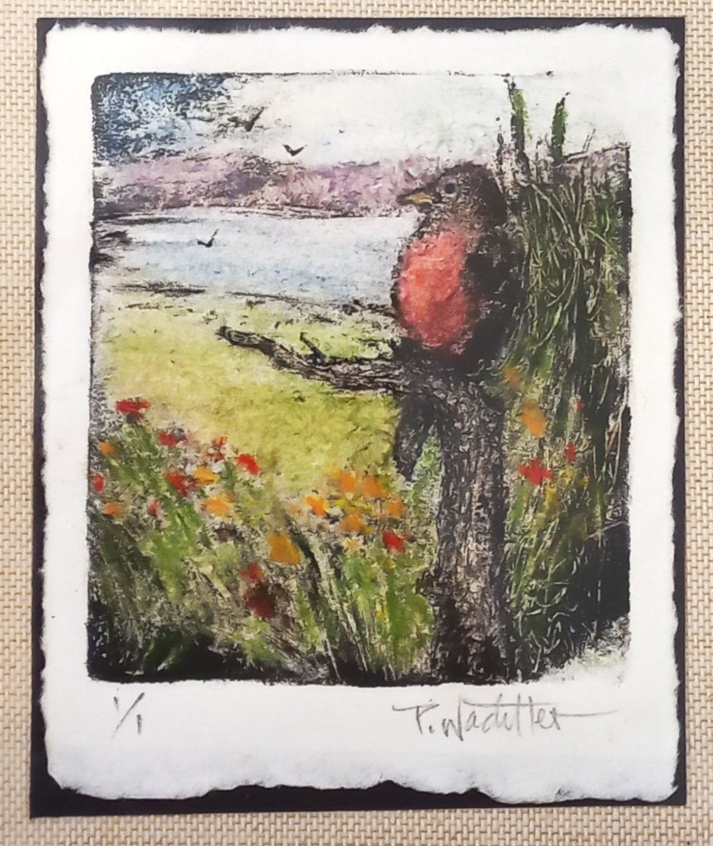 Robin Waiting by Pamela Wachtler