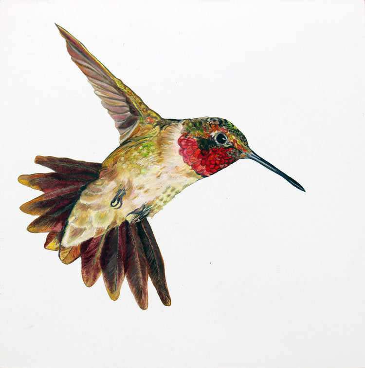 Framed Mini Prints by Carrie Goller