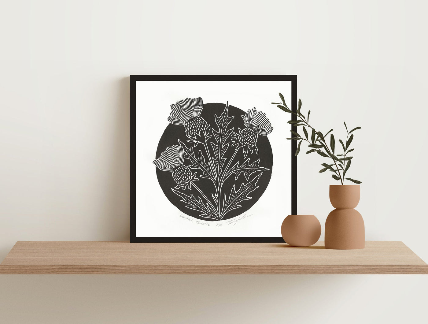 Scottish Thistle