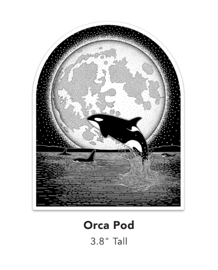 Orca Pod Sticker by Nick Alan Art