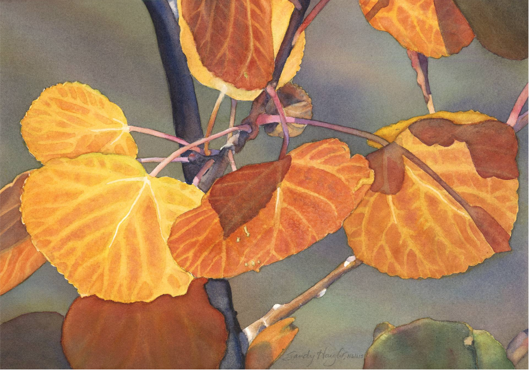 Art Cards by Sandy Haight